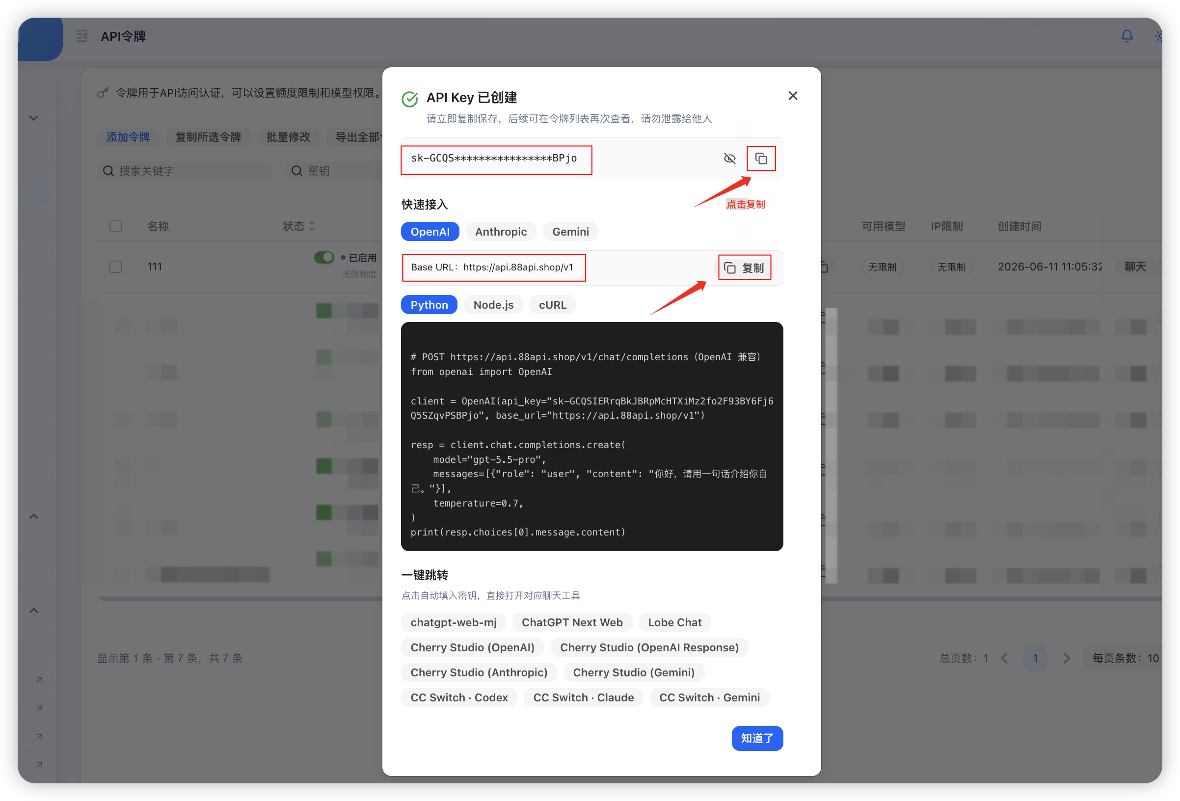 API Key 和 Base URL 信息